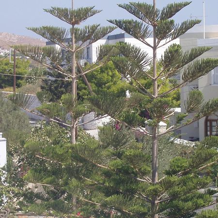 Manos Apartments Mégas Yialós-Nítes Exteriör bild